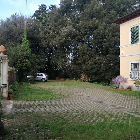 Villa La Dogana B&B 卢卡 外观 照片