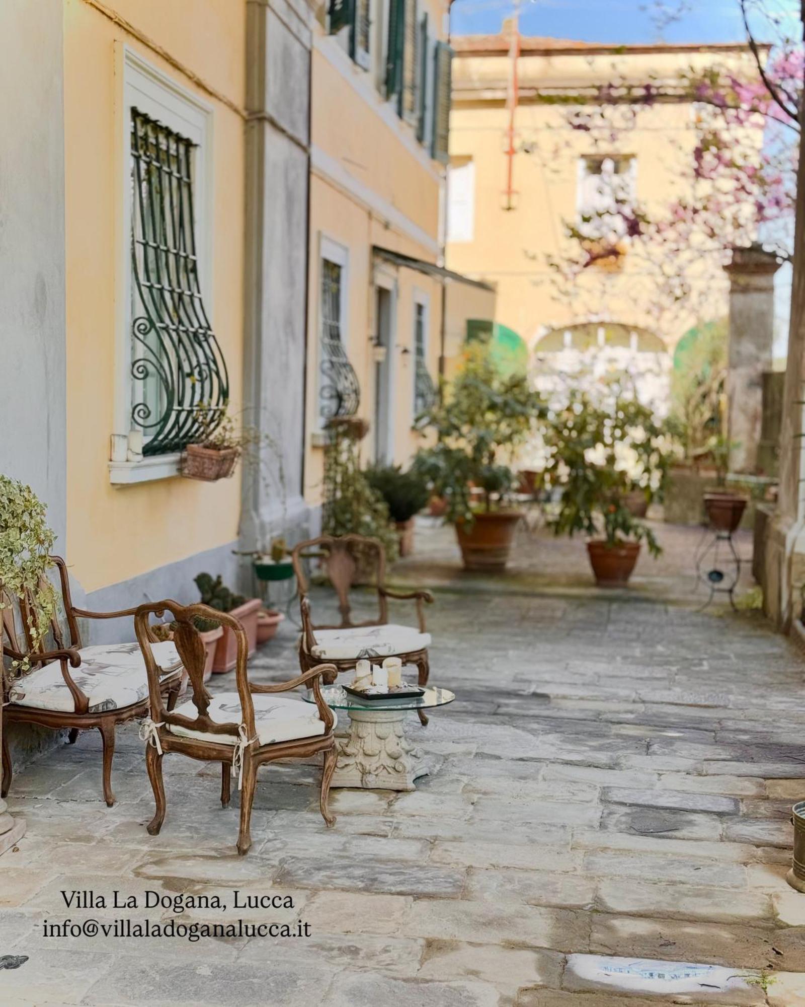 Villa La Dogana B&B 卢卡 外观 照片