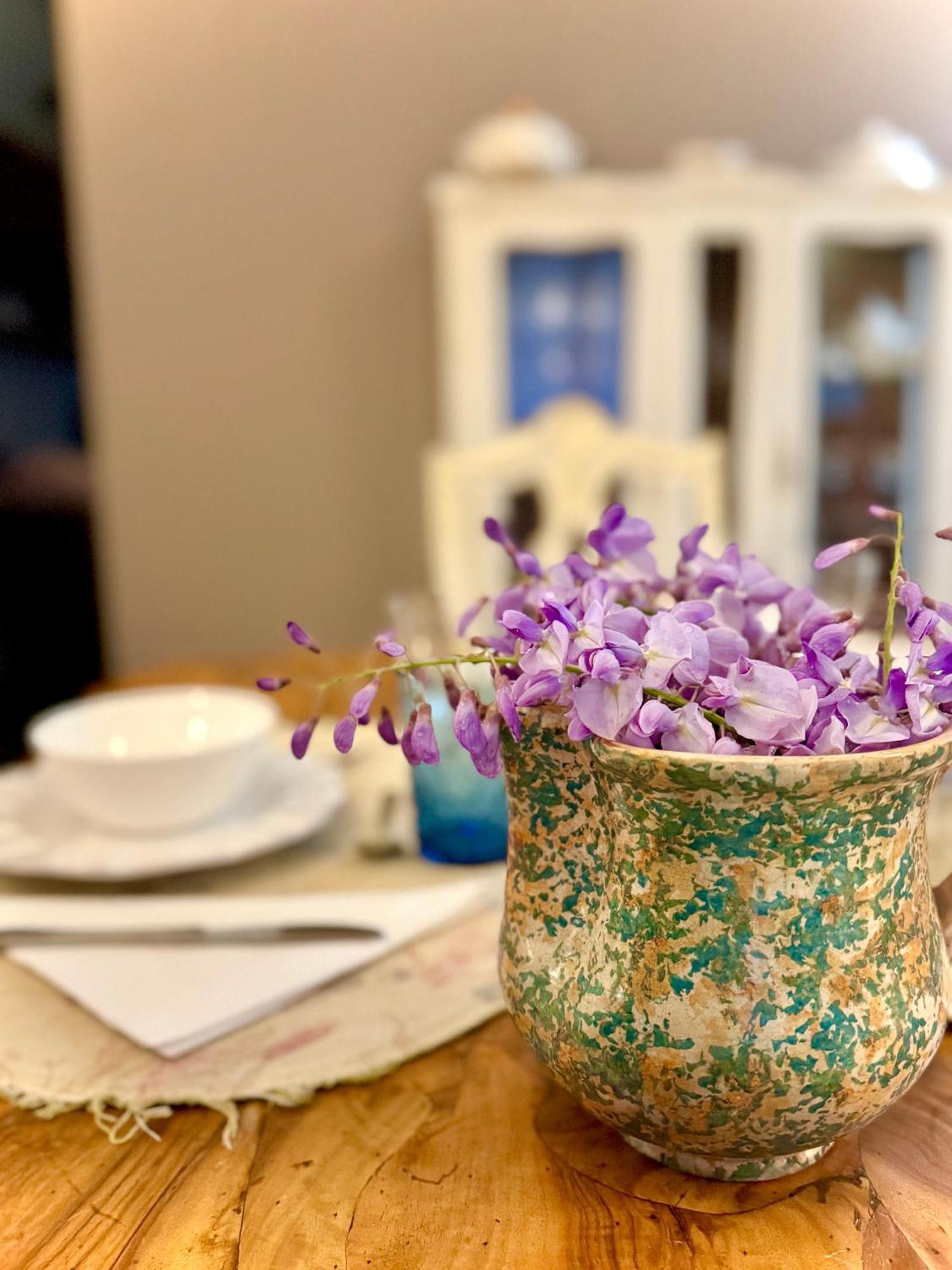 Villa La Dogana B&B 卢卡 外观 照片