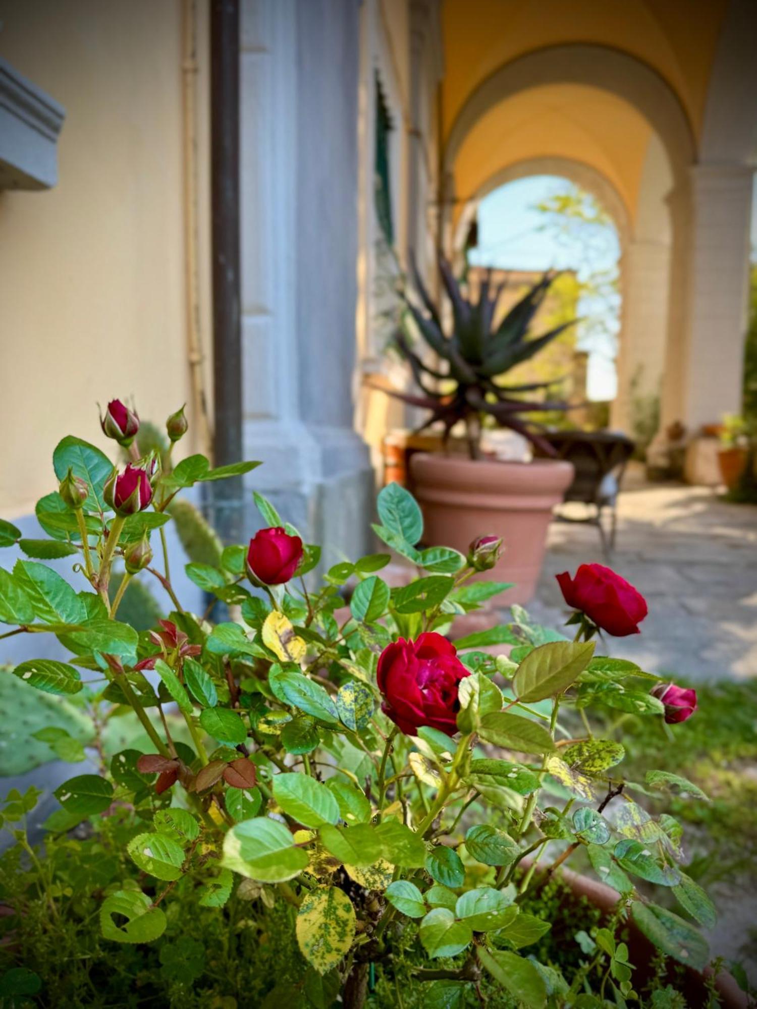 Villa La Dogana B&B 卢卡 外观 照片